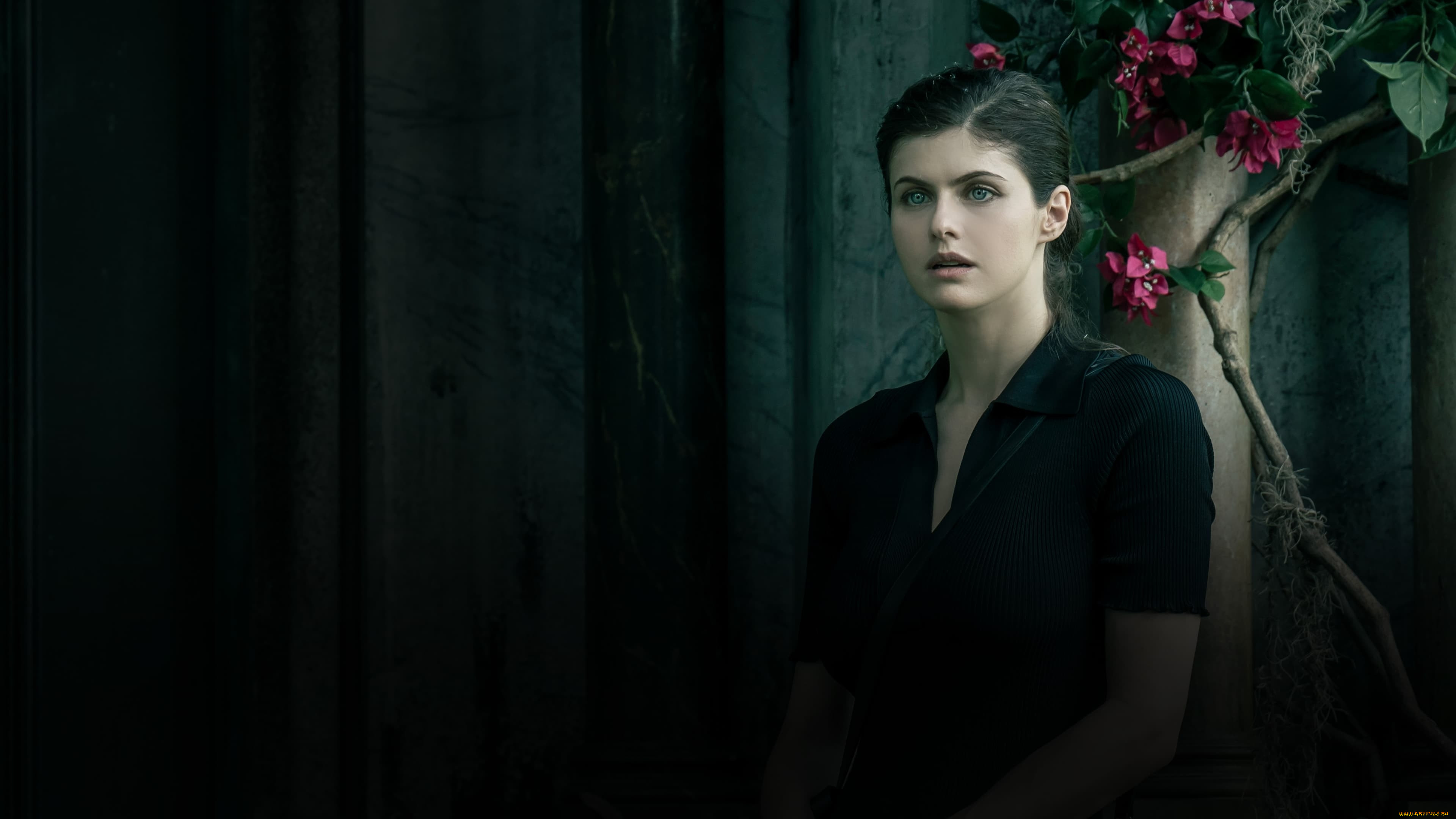 anne rice`s mayfair witches ,  2023  ,  , -unknown , , , , amc, , , , , , , alexandra, daddario, rowan, fielding